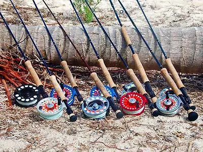 Fisherman Lodge 푼타 알렌 3*,